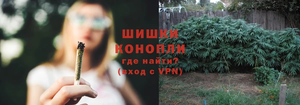 ПСИЛОЦИБИНОВЫЕ ГРИБЫ Краснослободск