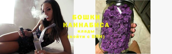 ПСИЛОЦИБИНОВЫЕ ГРИБЫ Краснослободск