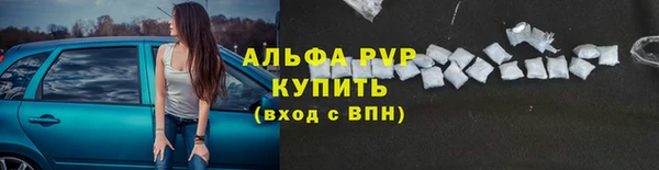 ПСИЛОЦИБИНОВЫЕ ГРИБЫ Краснослободск