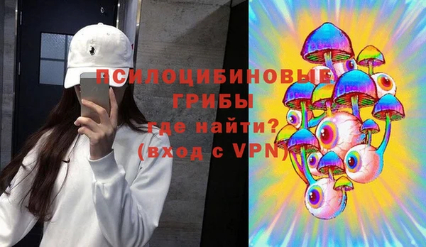 ПСИЛОЦИБИНОВЫЕ ГРИБЫ Краснослободск