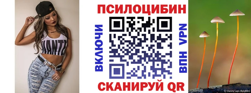 блэк спрут   Самара  Псилоцибиновые грибы GOLDEN TEACHER 